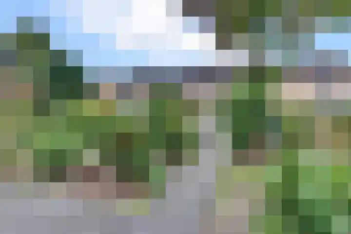 Eisenhowerlaan 23 Harderwijk thumbnail 7