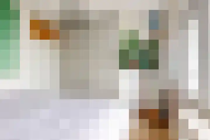 Eisenhowerlaan 254 Utrecht thumbnail 16