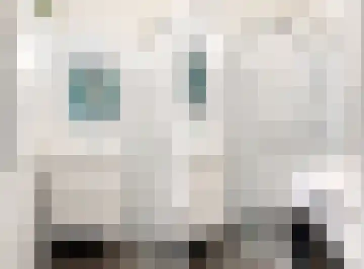 Eisenhowerlaan 254 Utrecht thumbnail 21