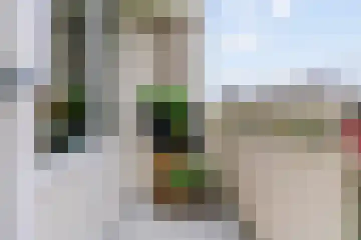 Eisenhowerlaan 254 Utrecht thumbnail 26