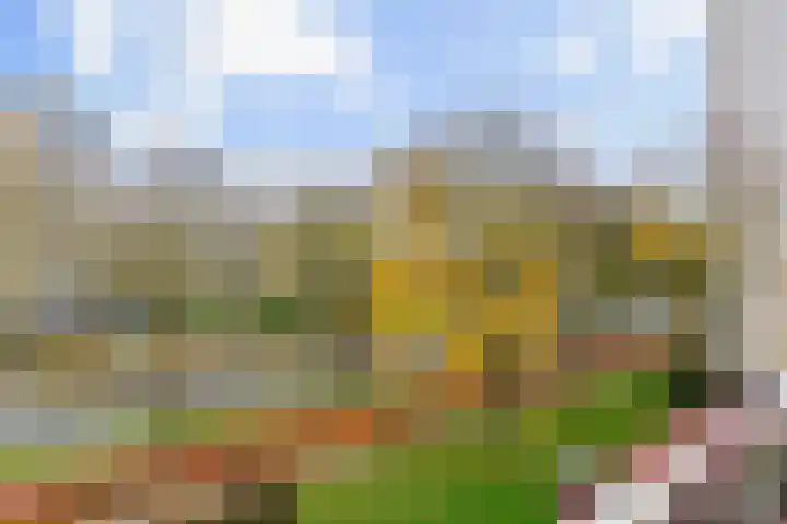 Eisenhowerlaan 254 Utrecht thumbnail 27