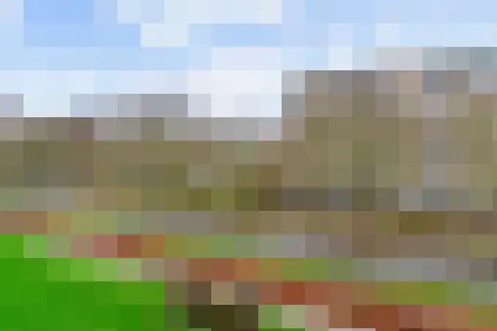Eisenhowerlaan 254 Utrecht thumbnail 31