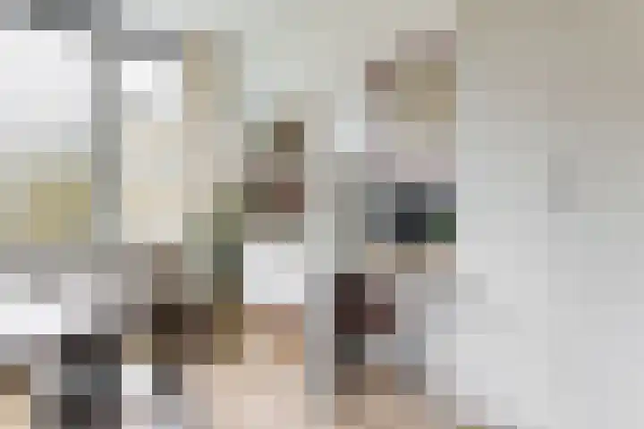 Eisenhowerlaan 254 Utrecht thumbnail 8