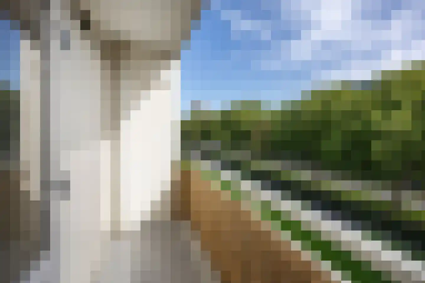 Eisenhowerlaan 272 Utrecht thumbnail 17