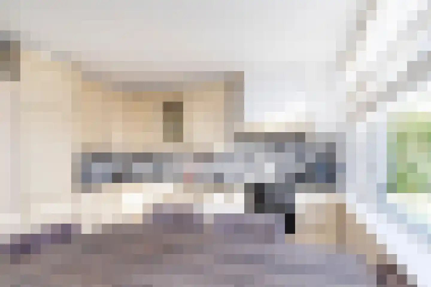 Eisenhowerlaan 29 Delft thumbnail 15