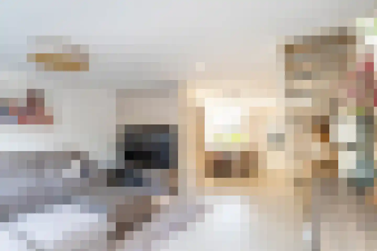 Eisenhowerlaan 29 Delft thumbnail 9