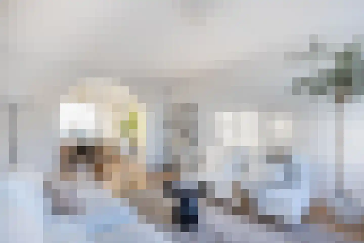 Eisenhowerlaan 300 Utrecht thumbnail 22