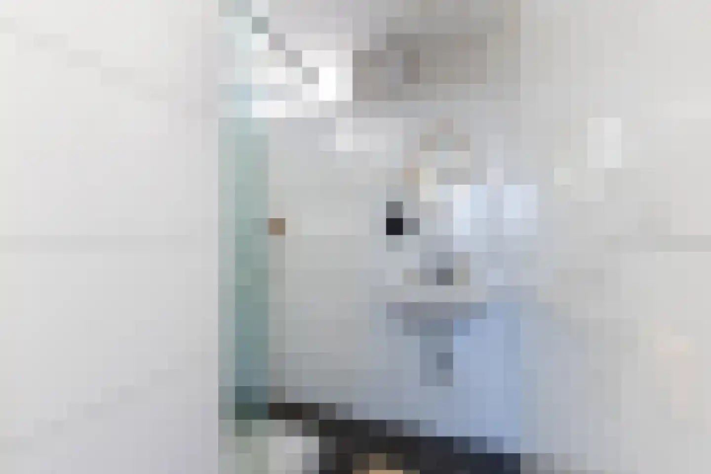 Eisenhowerlaan 300 Utrecht thumbnail 39