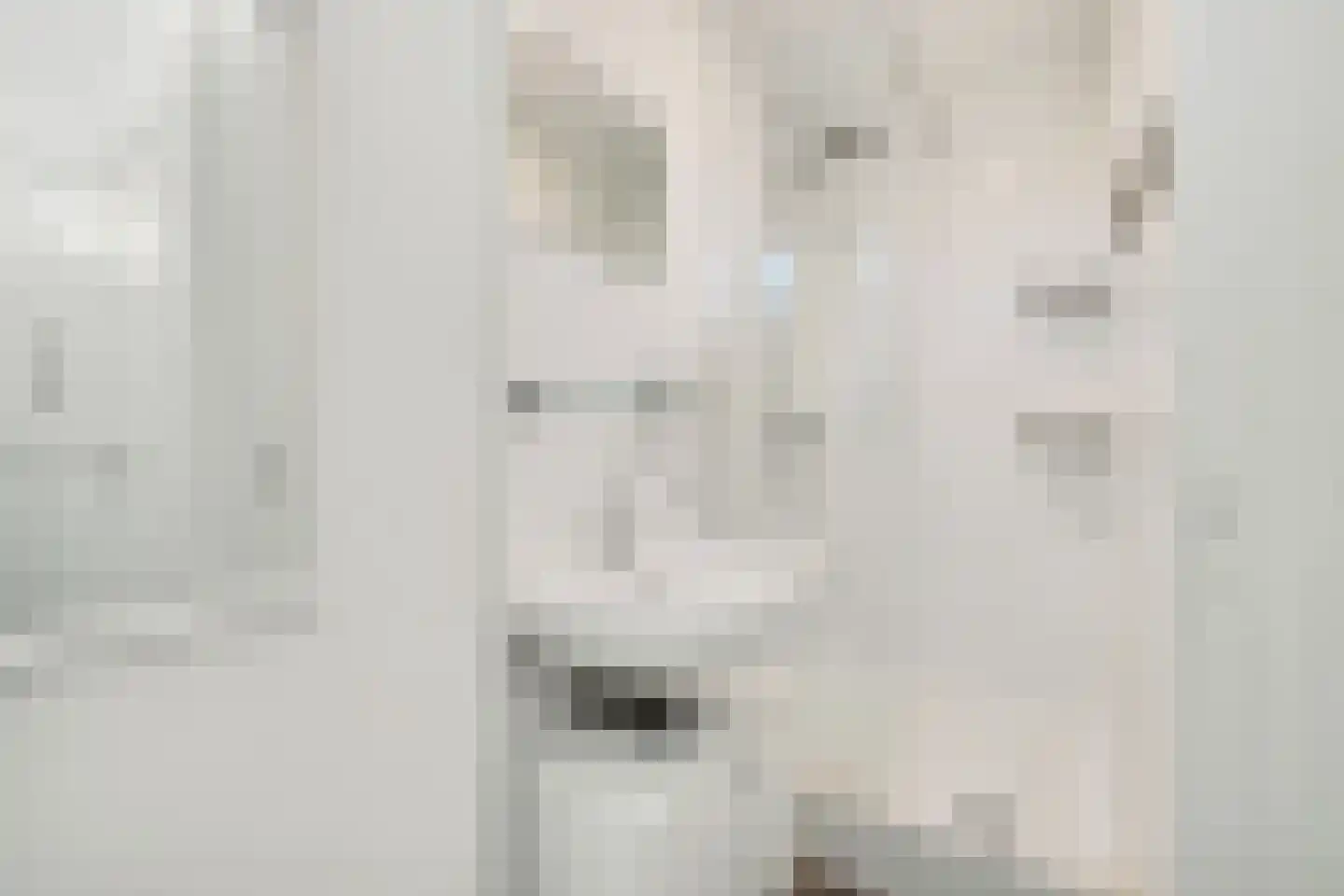 Eisenhowerlaan 306 Utrecht thumbnail 17