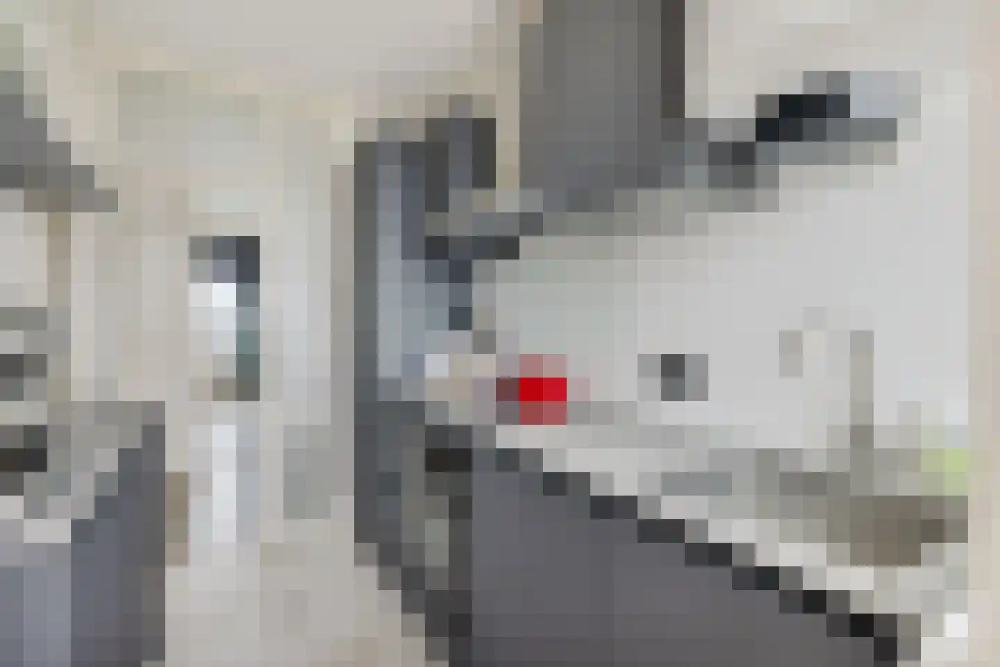 Eisenhowerlaan 314 Utrecht thumbnail 16