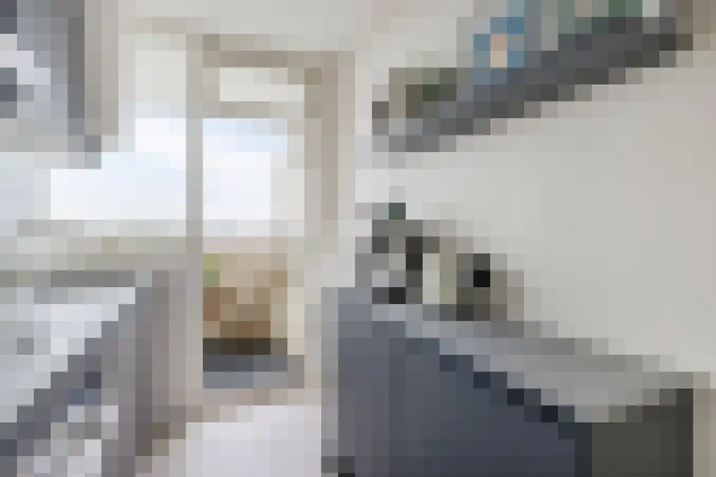 Eisenhowerlaan 314 Utrecht thumbnail 17
