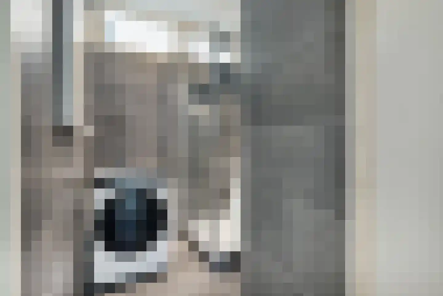 Eisenhowerlaan 314 Utrecht thumbnail 26