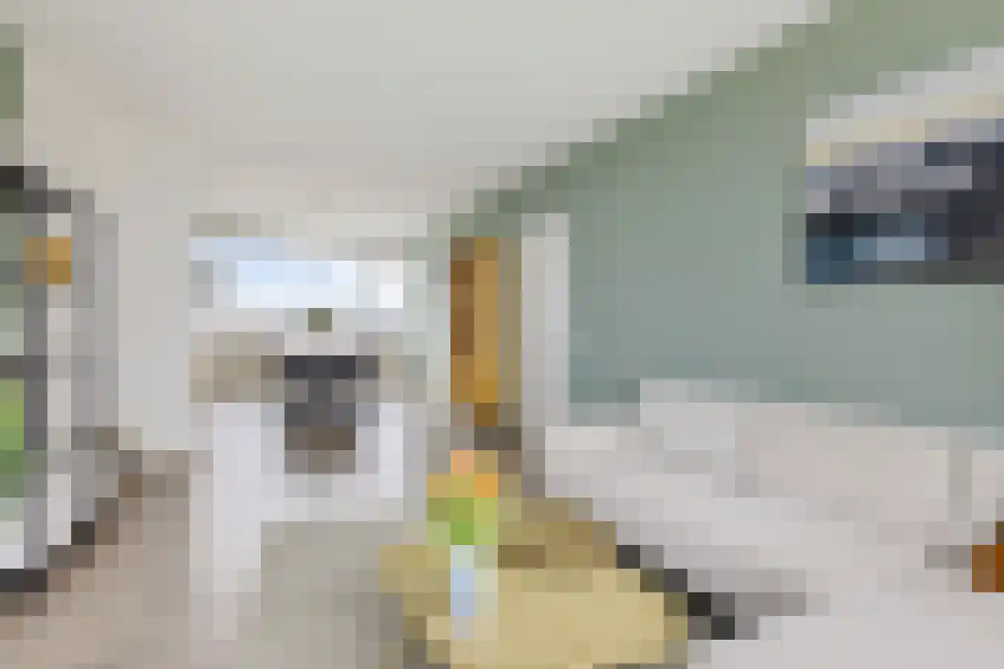 Eisenhowerlaan 314 Utrecht thumbnail 9