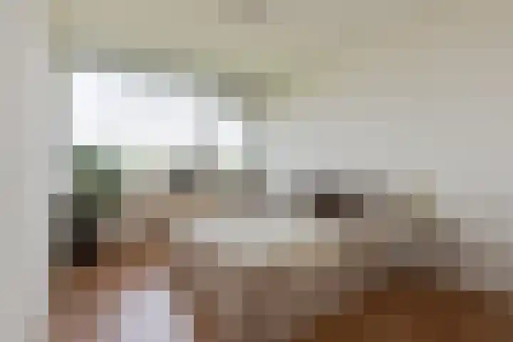 Eisenhowerlaan 316 Utrecht thumbnail 18