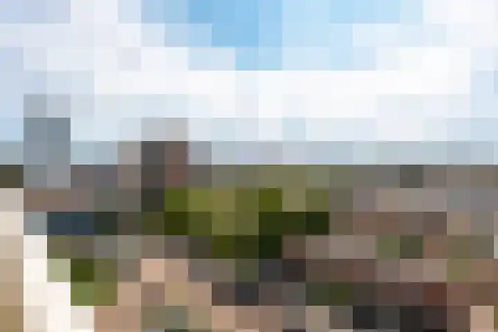 Eisenhowerlaan 316 Utrecht thumbnail 23