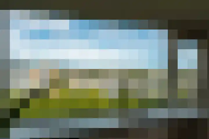 Eisenhowerlaan 316 Utrecht thumbnail 25