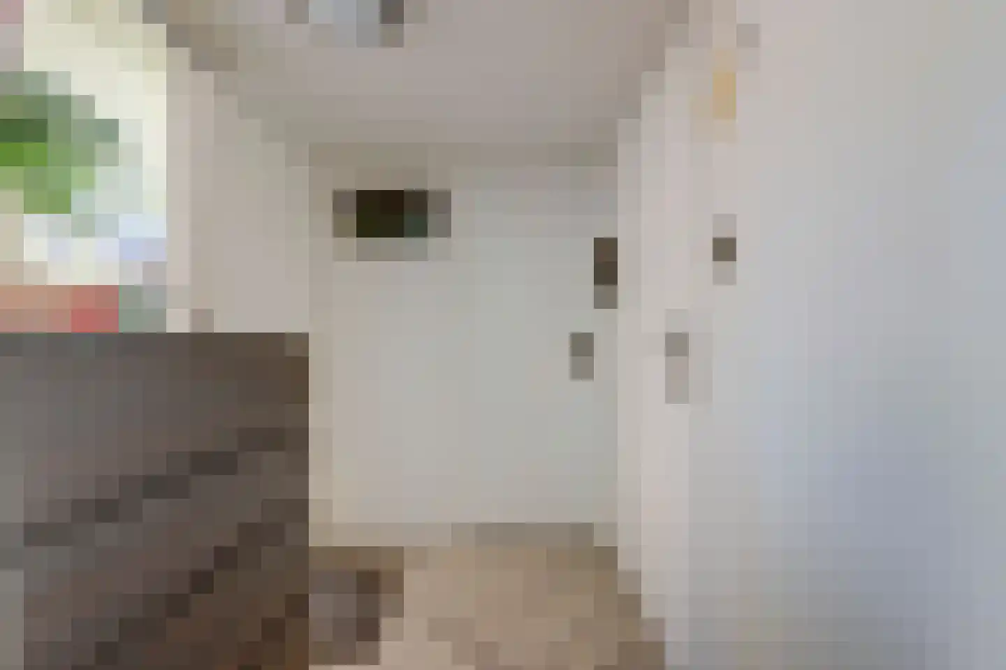 Eisenhowerlaan 33 Delft thumbnail 12