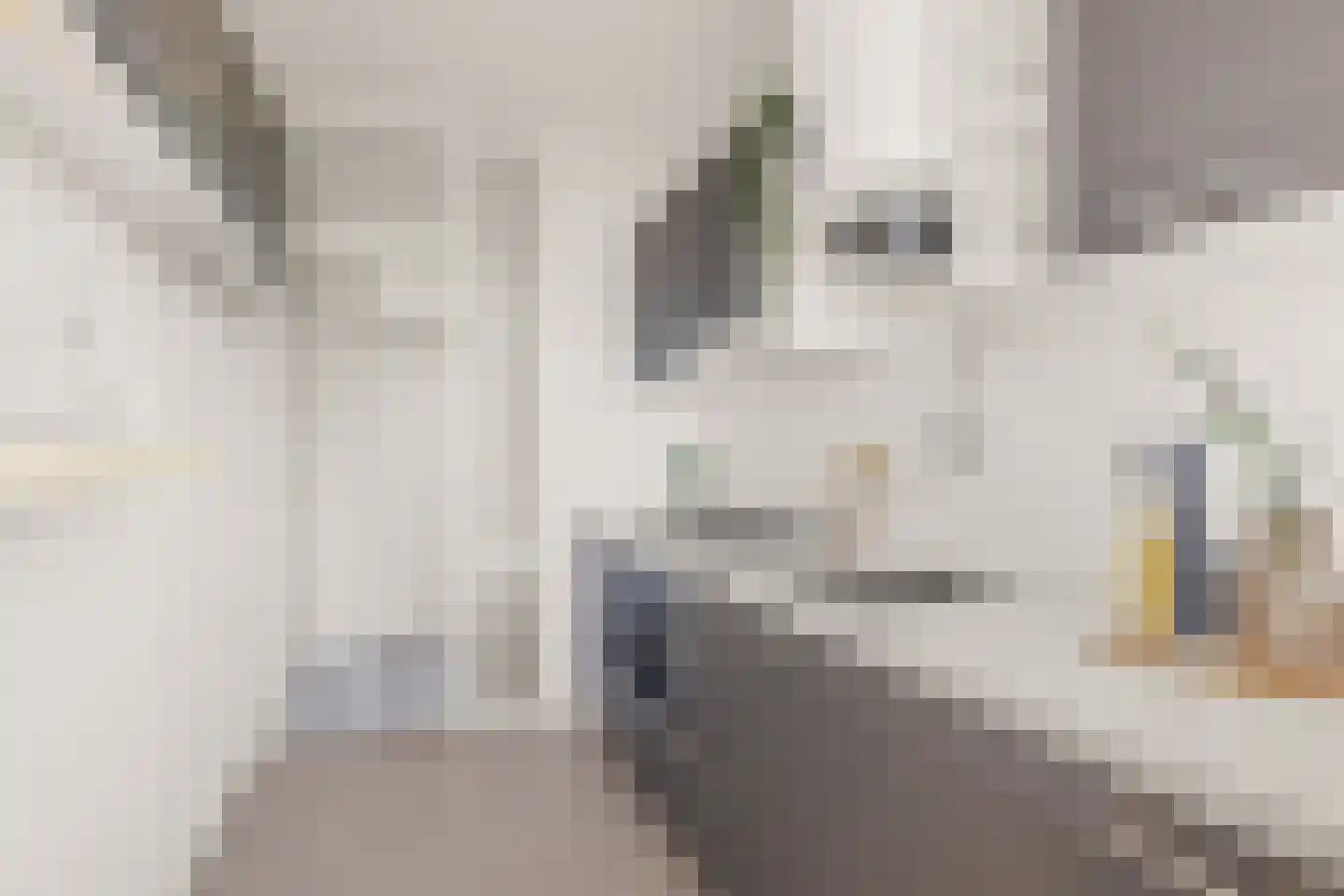 Eisenhowerlaan 334 Utrecht thumbnail 25