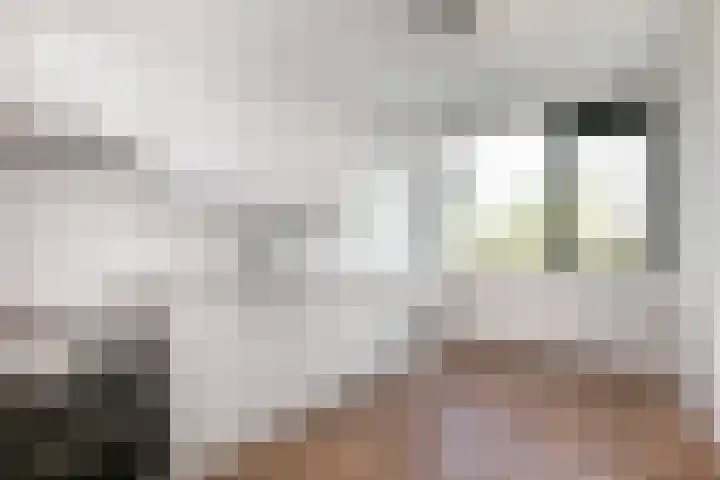 Eisenhowerlaan 34 Utrecht thumbnail 6