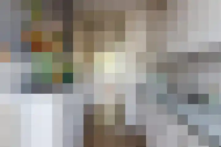 Eisenhowerlaan 362 Utrecht thumbnail 10