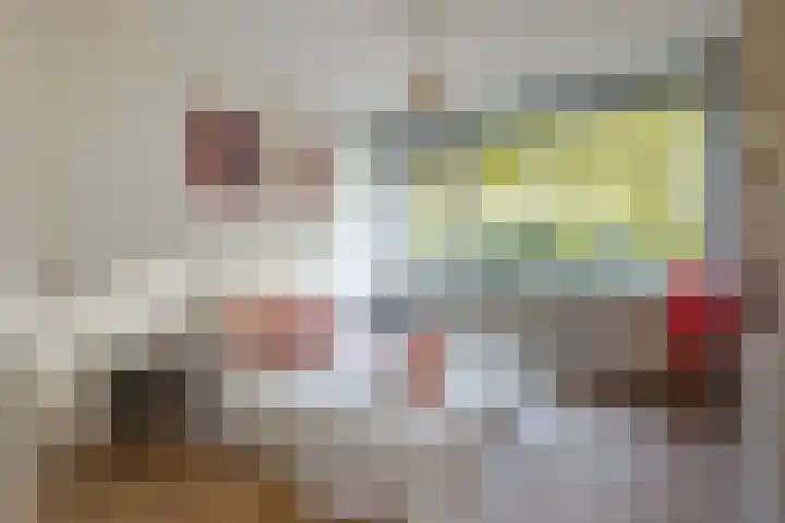 Eisenhowerlaan 362 Utrecht thumbnail 11