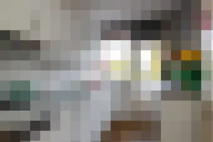 Eisenhowerlaan 362 Utrecht thumbnail 7