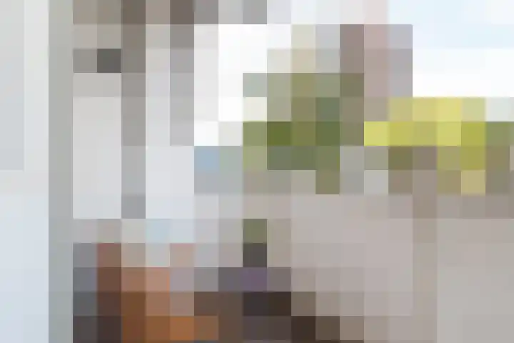Eisenhowerlaan 362 Utrecht thumbnail 8
