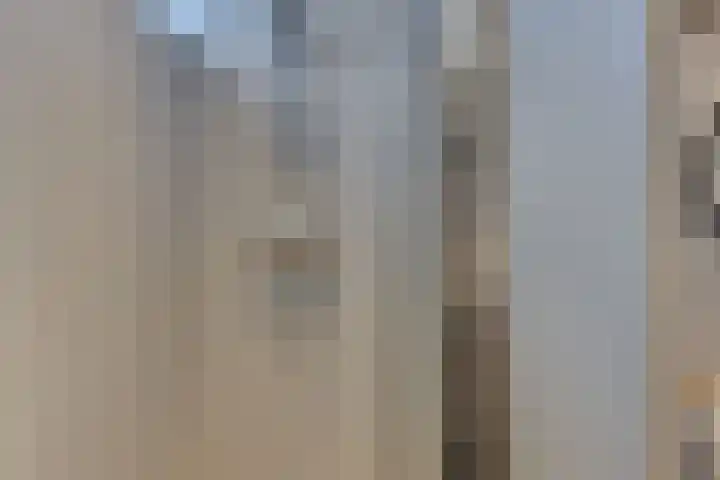 Eisenhowerlaan 41 Harderwijk thumbnail 35