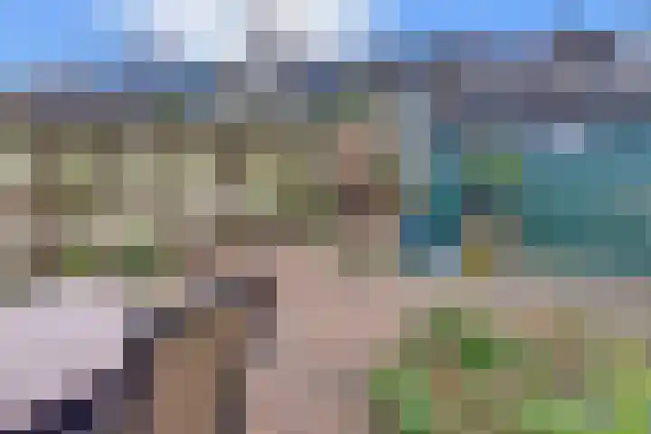 Eisenhowerlaan 41 Harderwijk thumbnail 45