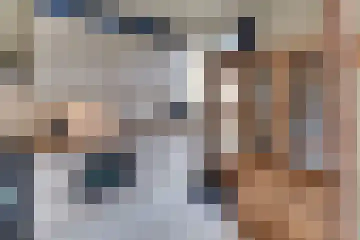 Eisenhowerlaan 41 Harderwijk thumbnail 9