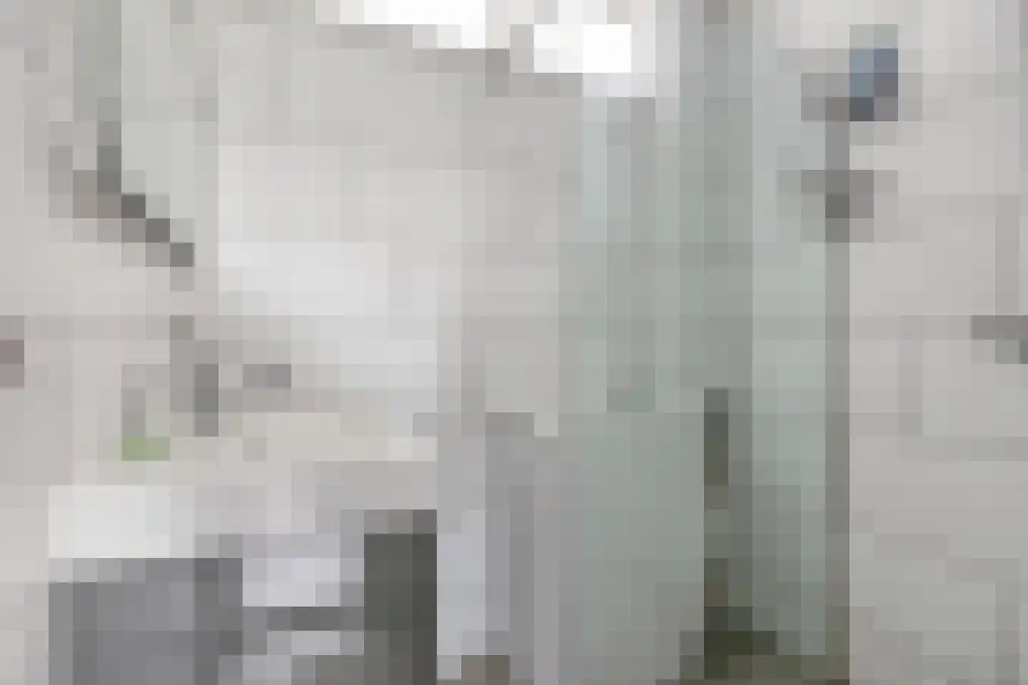 Eisenhowerlaan 418 Utrecht thumbnail 18