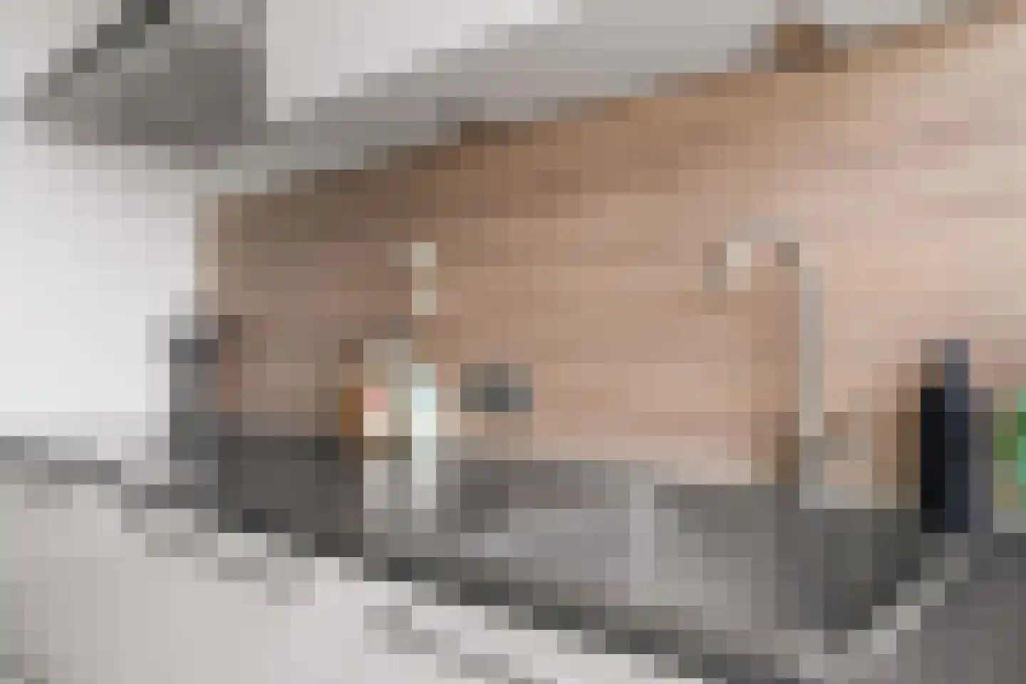 Eisenhowerlaan 438 Utrecht thumbnail 20