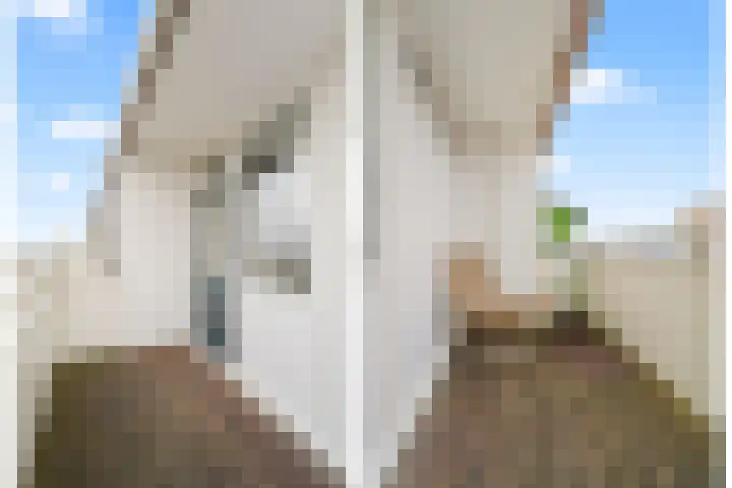 Eisenhowerlaan 438 Utrecht thumbnail 23