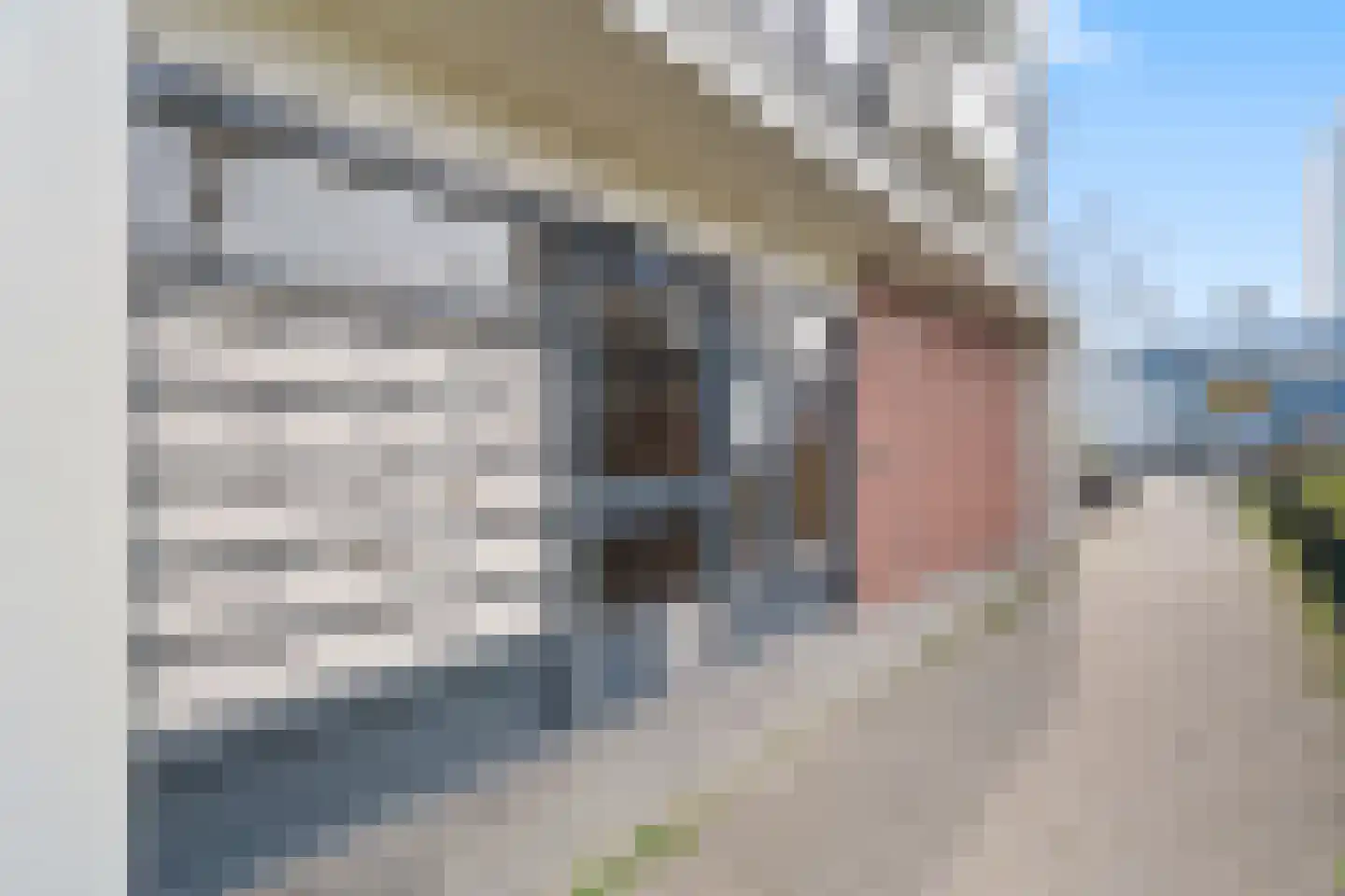 Eisenhowerlaan 438 Utrecht thumbnail 5