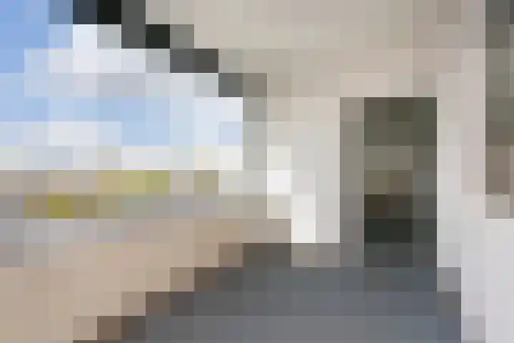 Eisenhowerlaan 46 Utrecht thumbnail 18