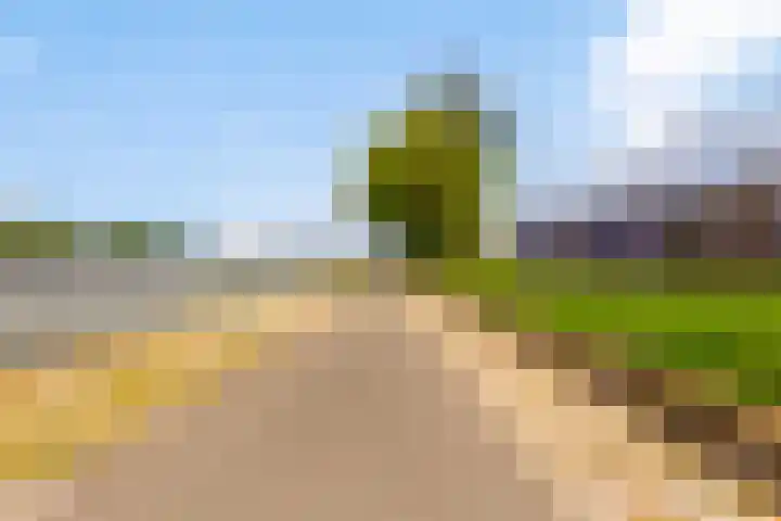 Eisenhowerlaan 46 Utrecht thumbnail 25