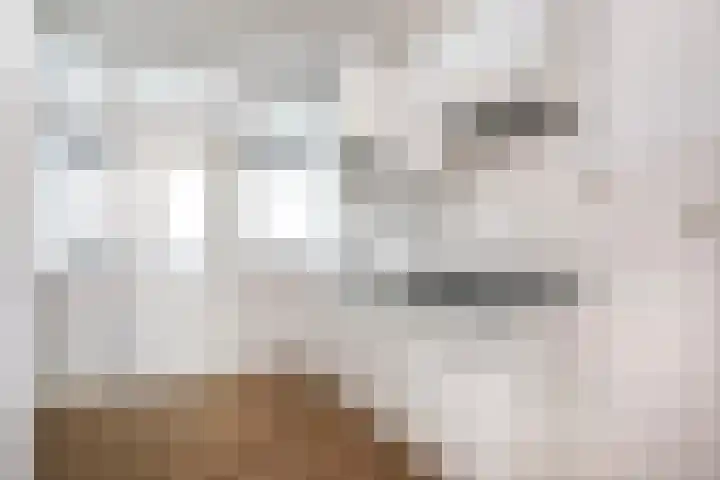 Eisenhowerlaan 46 Utrecht thumbnail 7