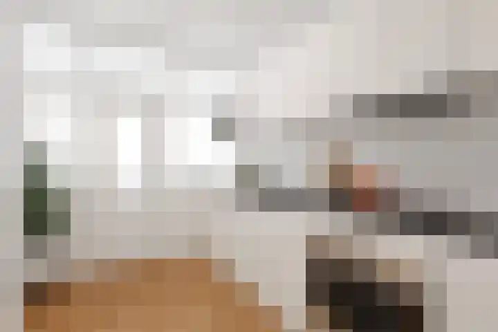 Eisenhowerlaan 46 Utrecht thumbnail 8