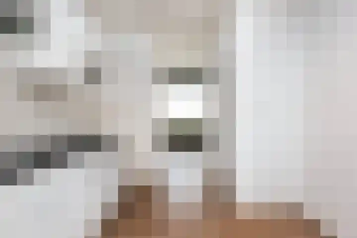 Eisenhowerlaan 46 Utrecht thumbnail 9