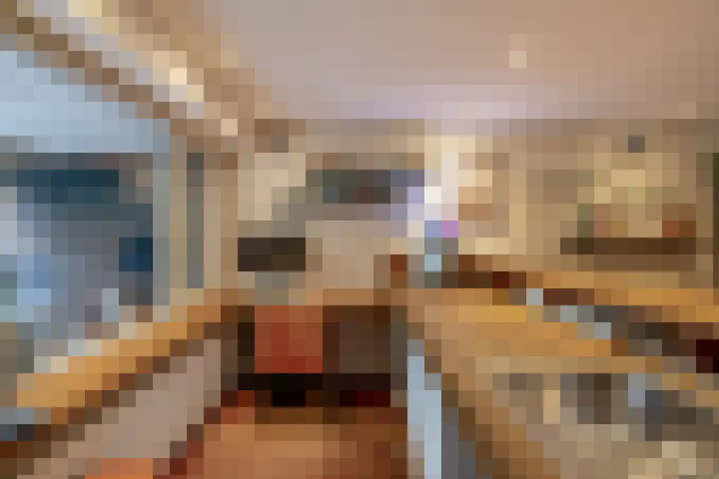 Eisenhowerlaan 5 Oude-Tonge thumbnail 12
