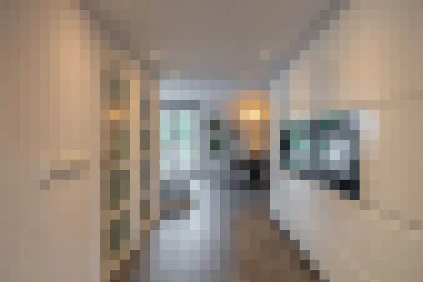 Eisenhowerlaan 5 Oude-Tonge thumbnail 14