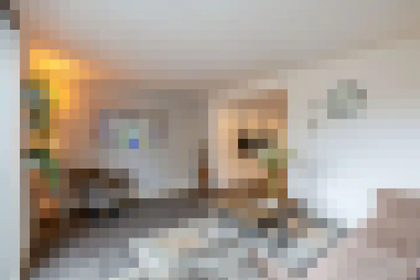 Eisenhowerlaan 5 Oude-Tonge thumbnail 15