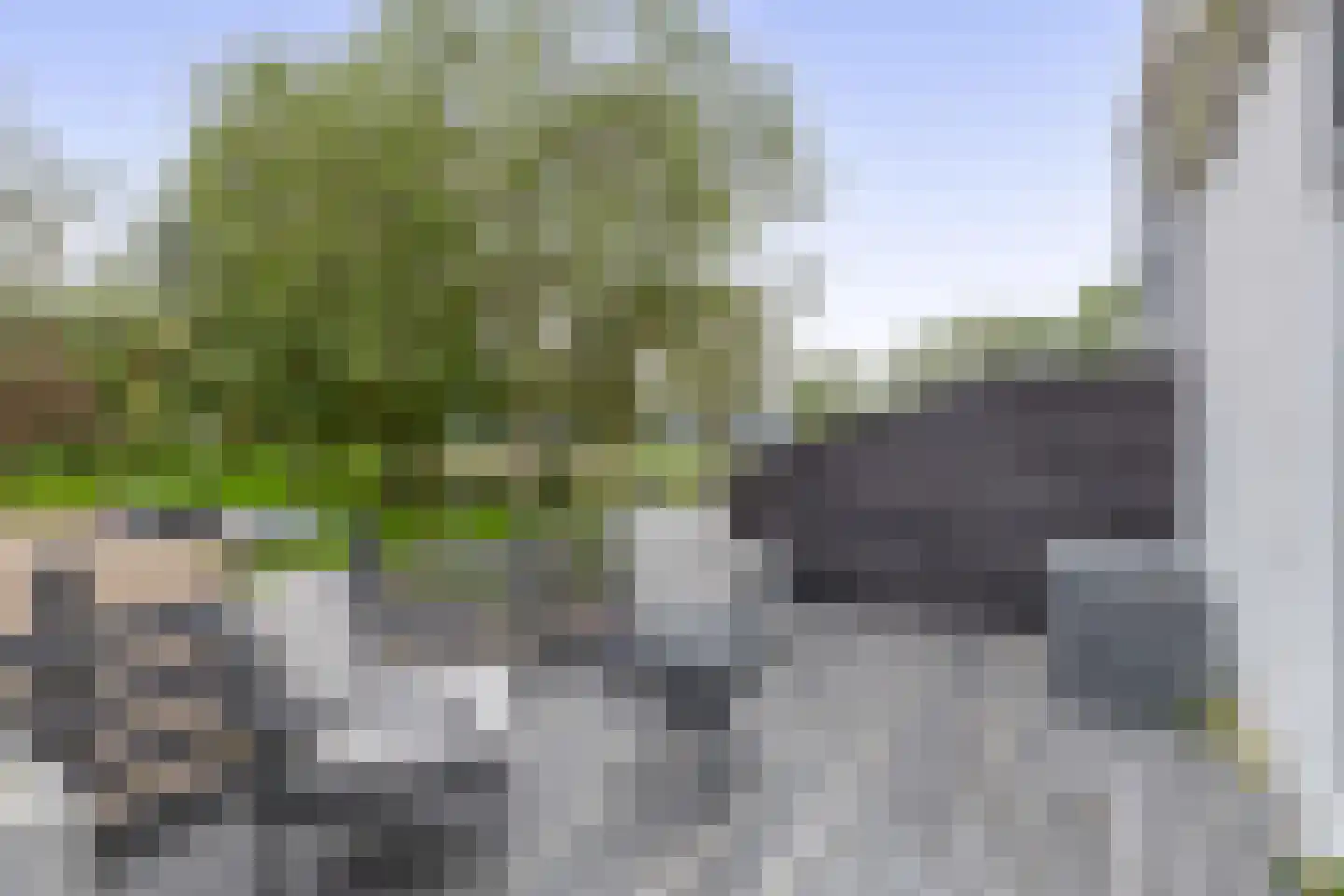 Eisenhowerlaan 5 Oude-Tonge thumbnail 18