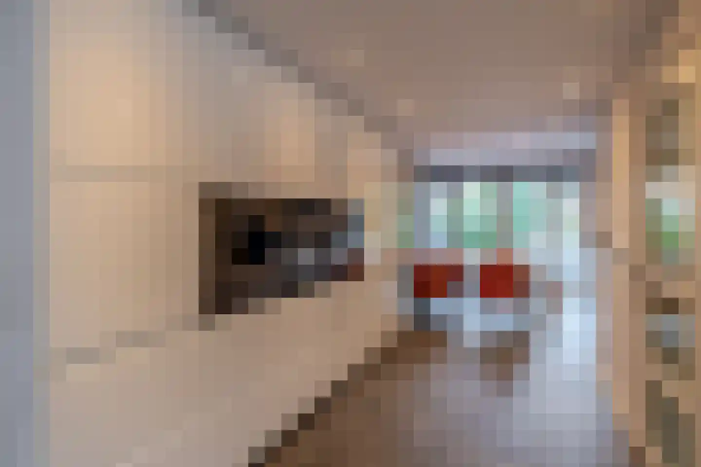Eisenhowerlaan 5 Oude-Tonge thumbnail 21