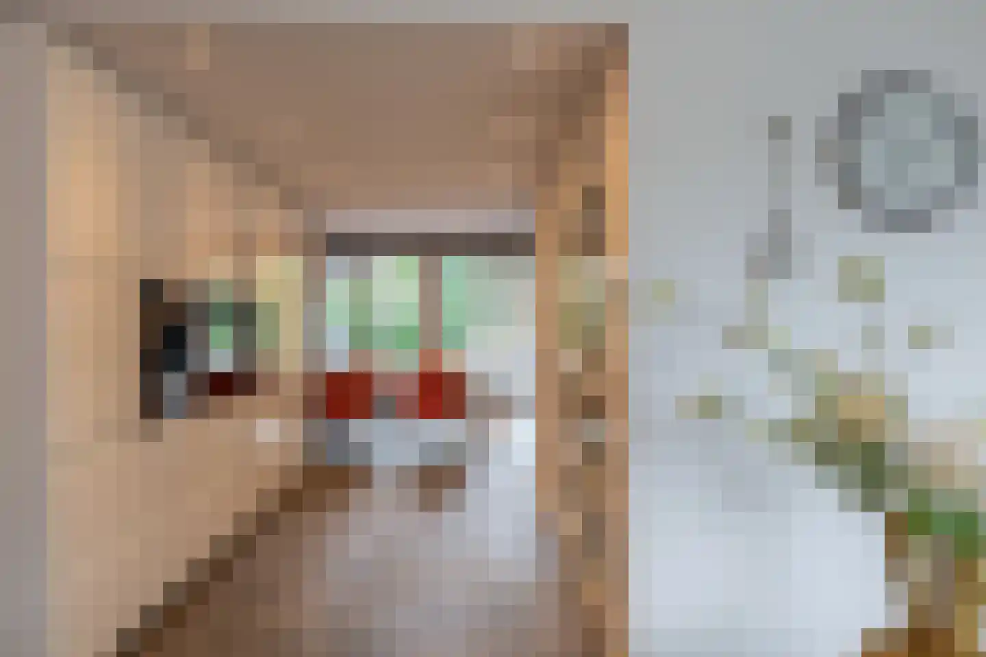Eisenhowerlaan 5 Oude-Tonge thumbnail 22