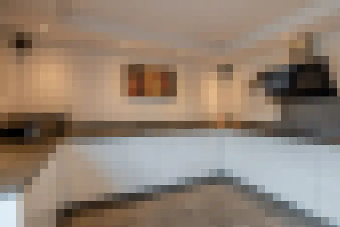 Eisenhowerlaan 5 Oude-Tonge thumbnail 23