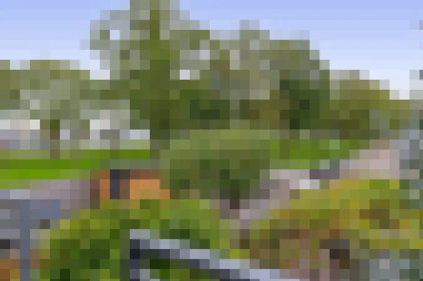 Eisenhowerlaan 5 Oude-Tonge thumbnail 29
