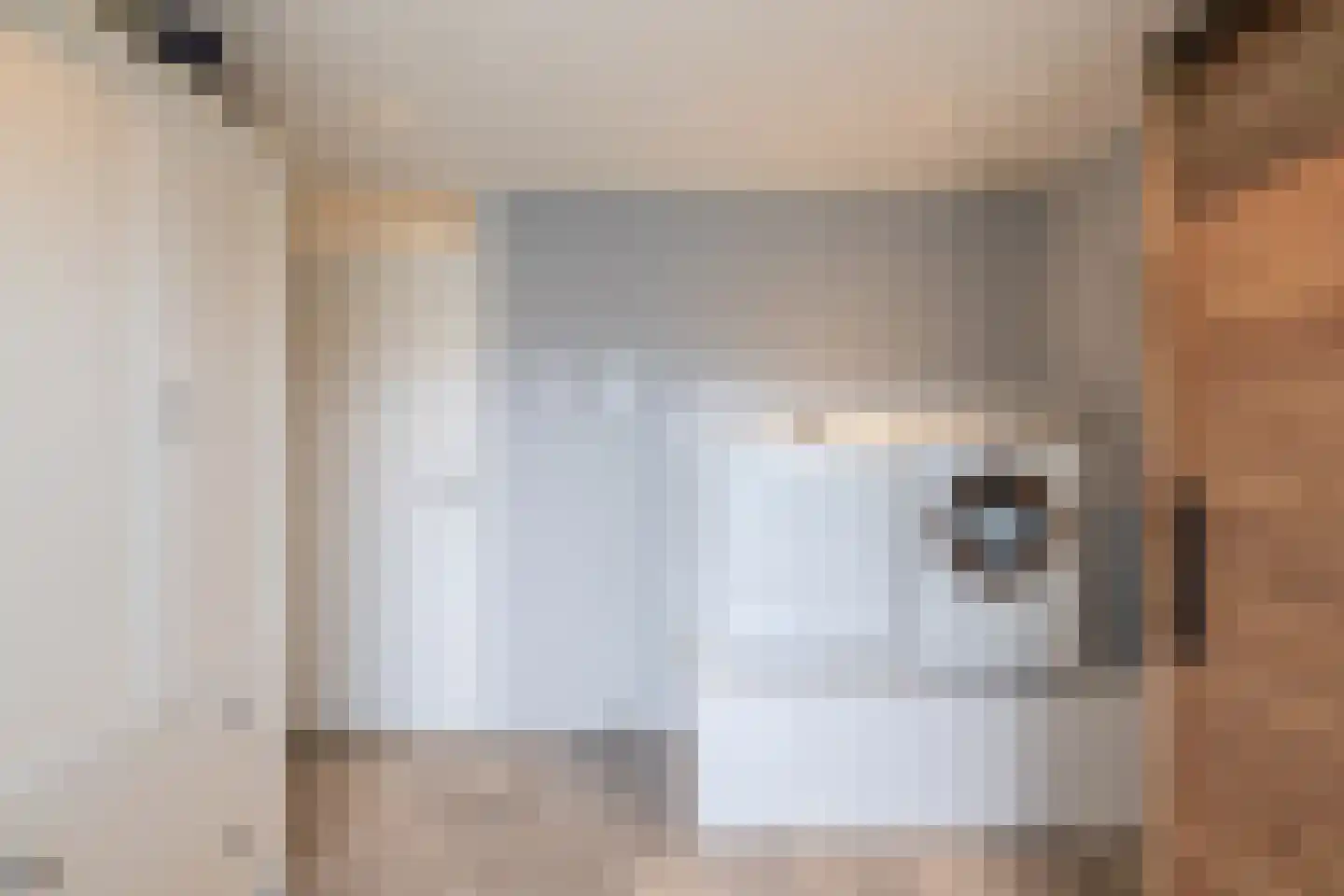 Eisenhowerlaan 5 Oude-Tonge thumbnail 35