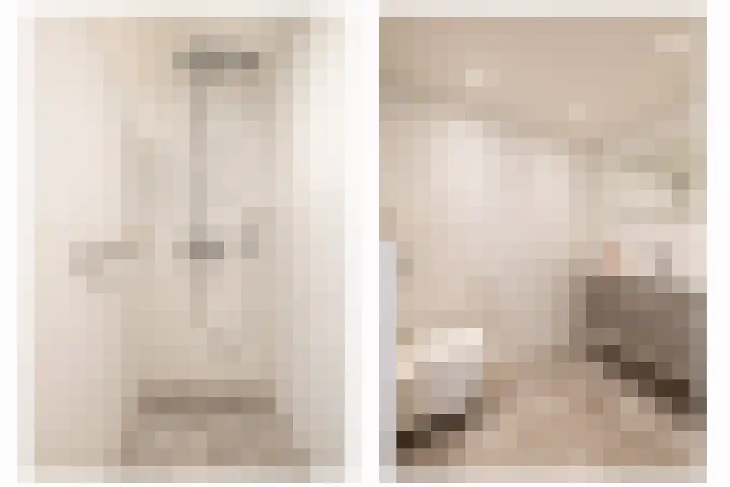 Eisenhowerlaan 5 Oude-Tonge thumbnail 39