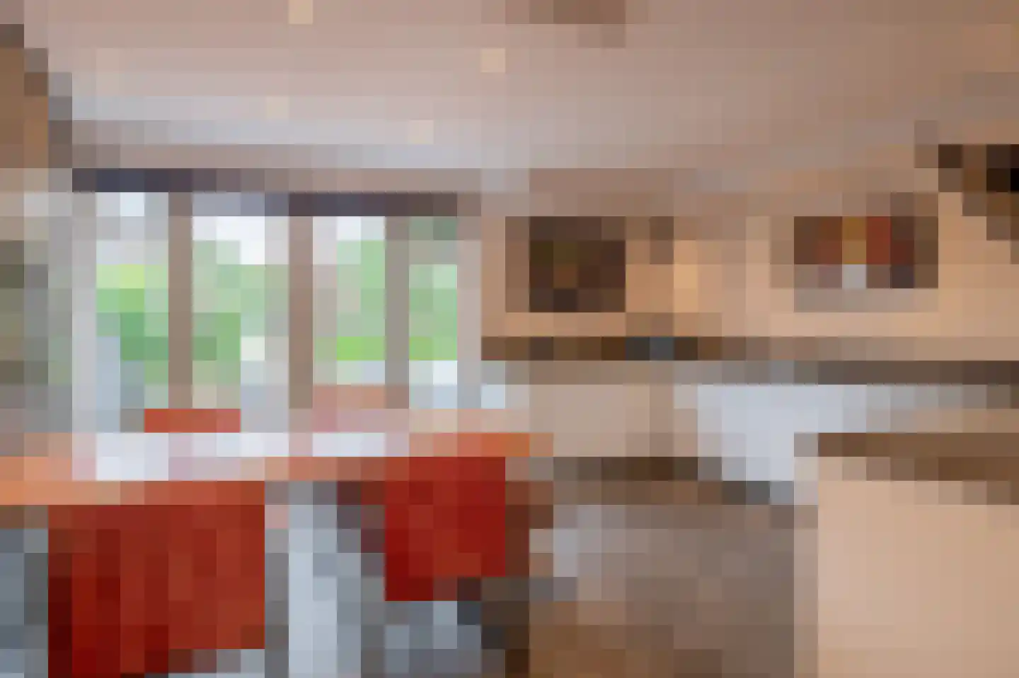 Eisenhowerlaan 5 Oude-Tonge thumbnail 4
